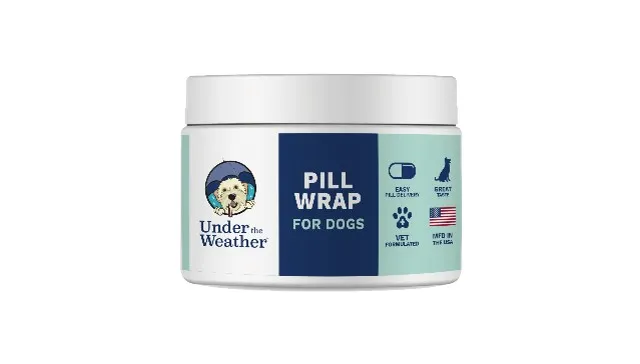 4.94oz Under the Weather Dog Pill Wrap - Healing/First Aid